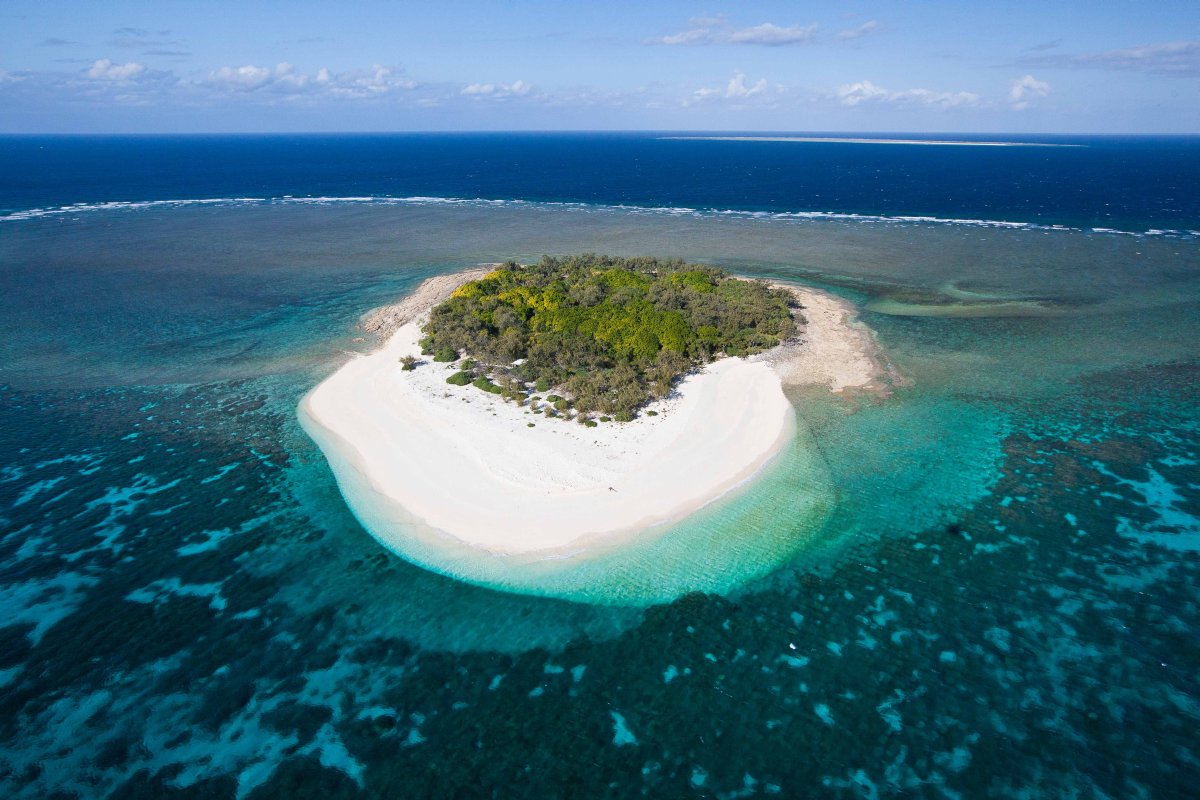 Wilson Island Resort