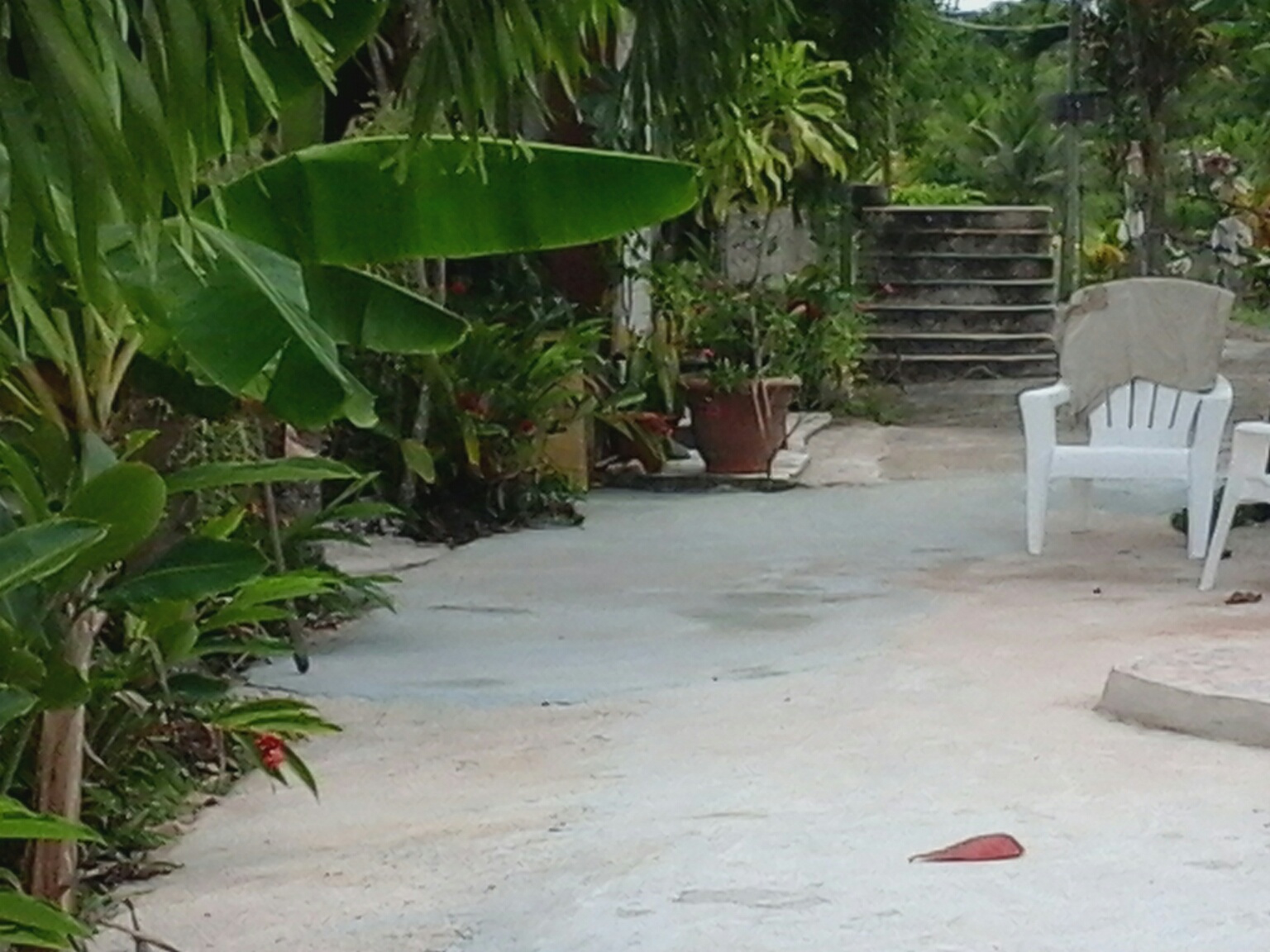 Super Palm Resort