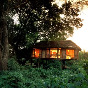 Lake Manyara Tree Lodge