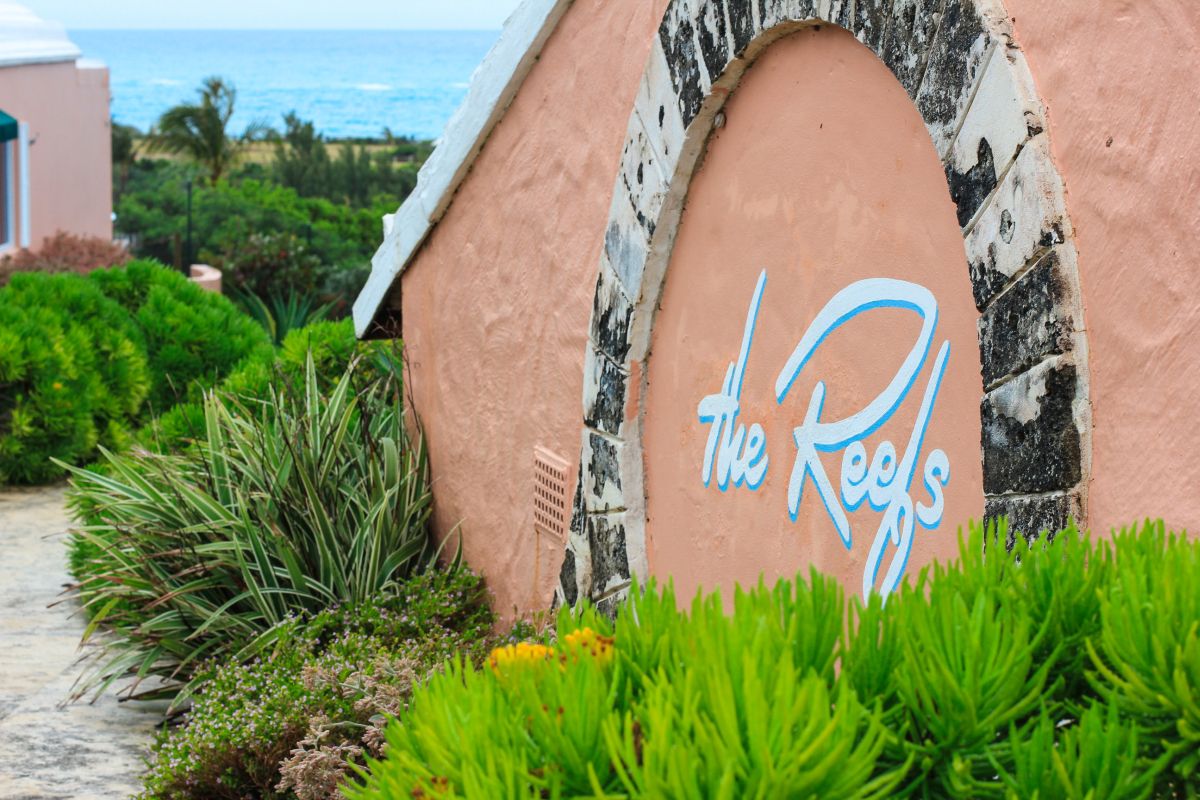 The Reefs