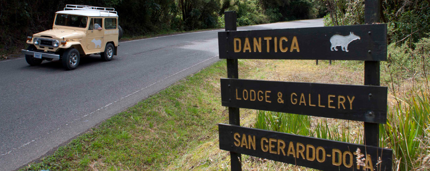 Dantica Cloud Forest Lodge