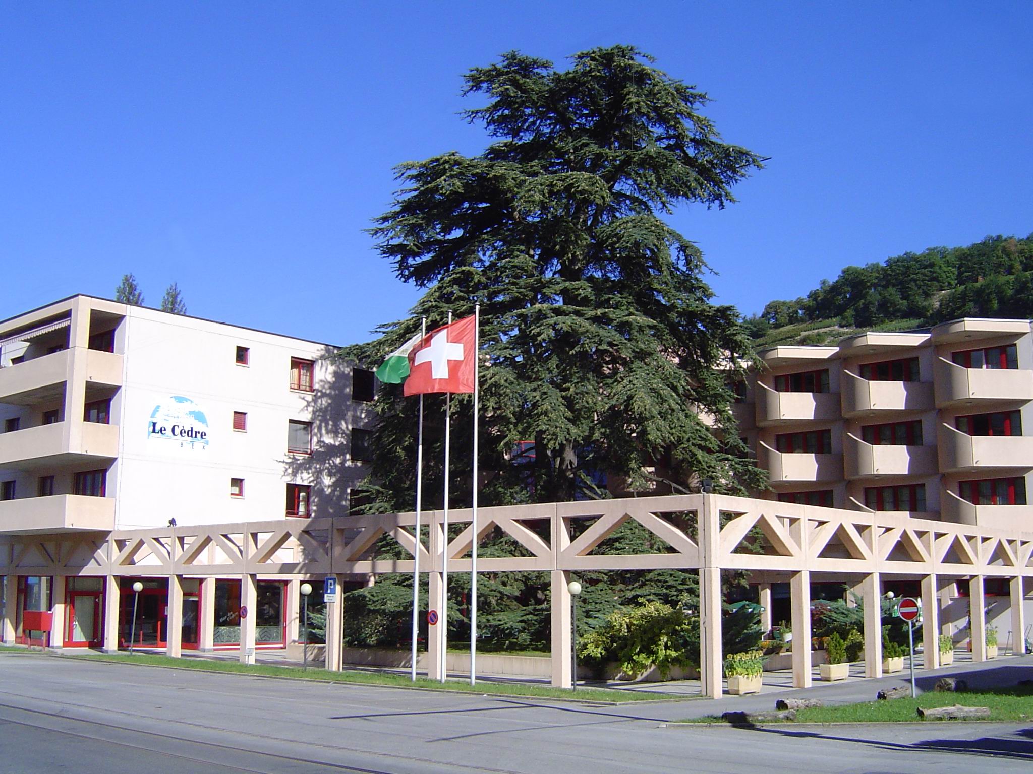 Hotel le Cedre & Bex