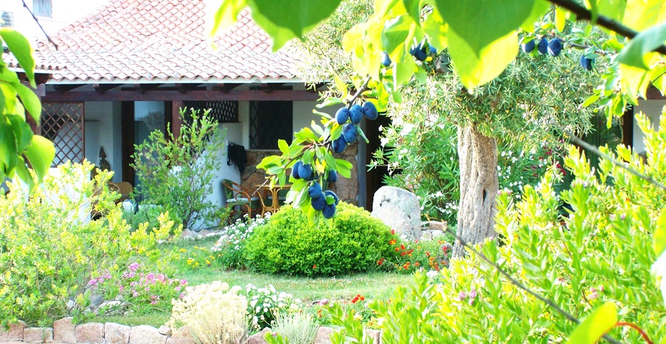 Club Hotel Ragno d'Oro Vignol