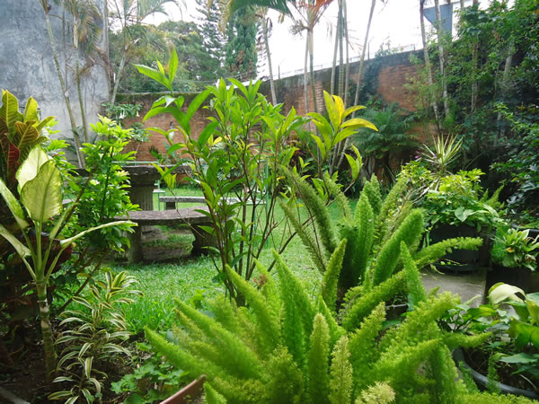 Boutique Hotel Casa Las Orquideas