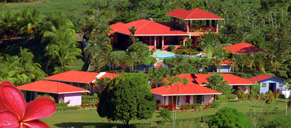 Hotel Lookout at Playa Tortuga