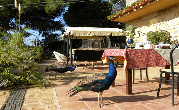 Villa San Marco Agrigento