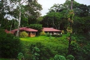 Bosque Del Cabo