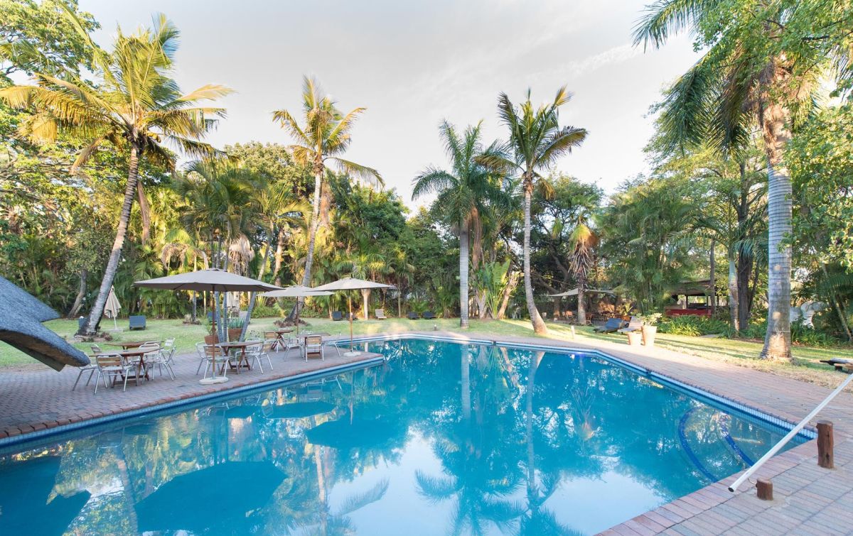 Sefapane Lodge and Safaris
