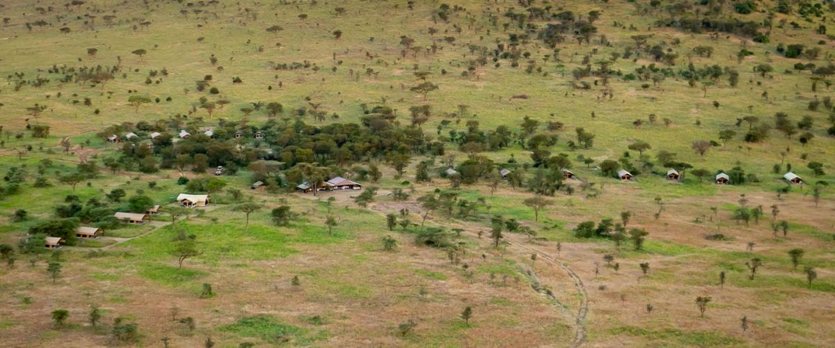 Serengeti Kati Kati Tented Camp