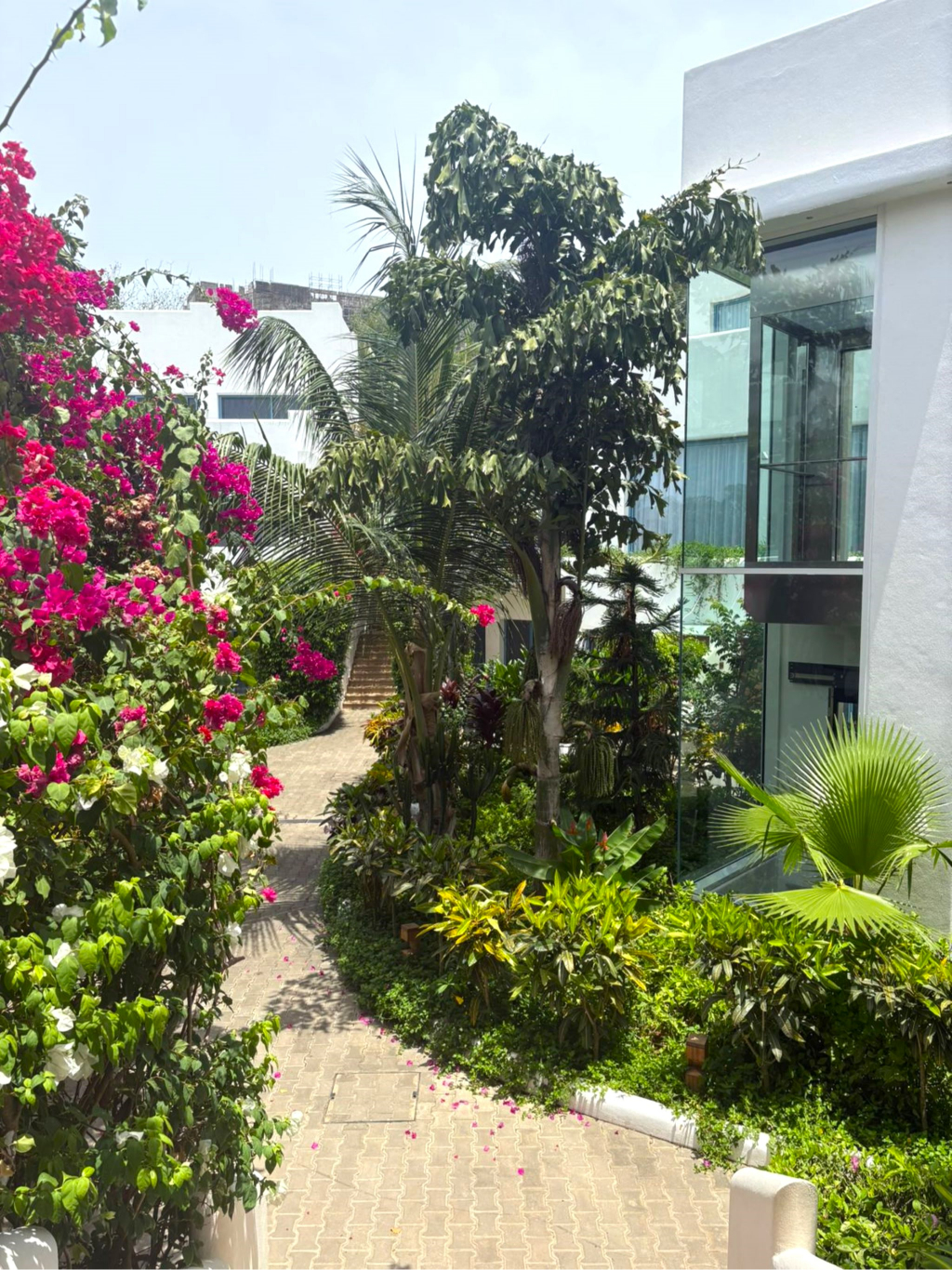 The Lead Hotel